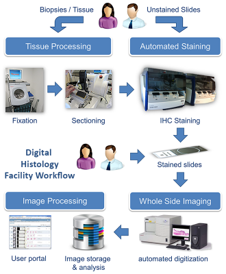 Digital
 Histology Facility 
Workflow